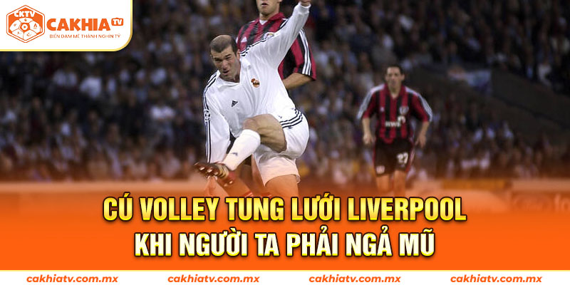 Cú Volley Tung Lưới Liverpool